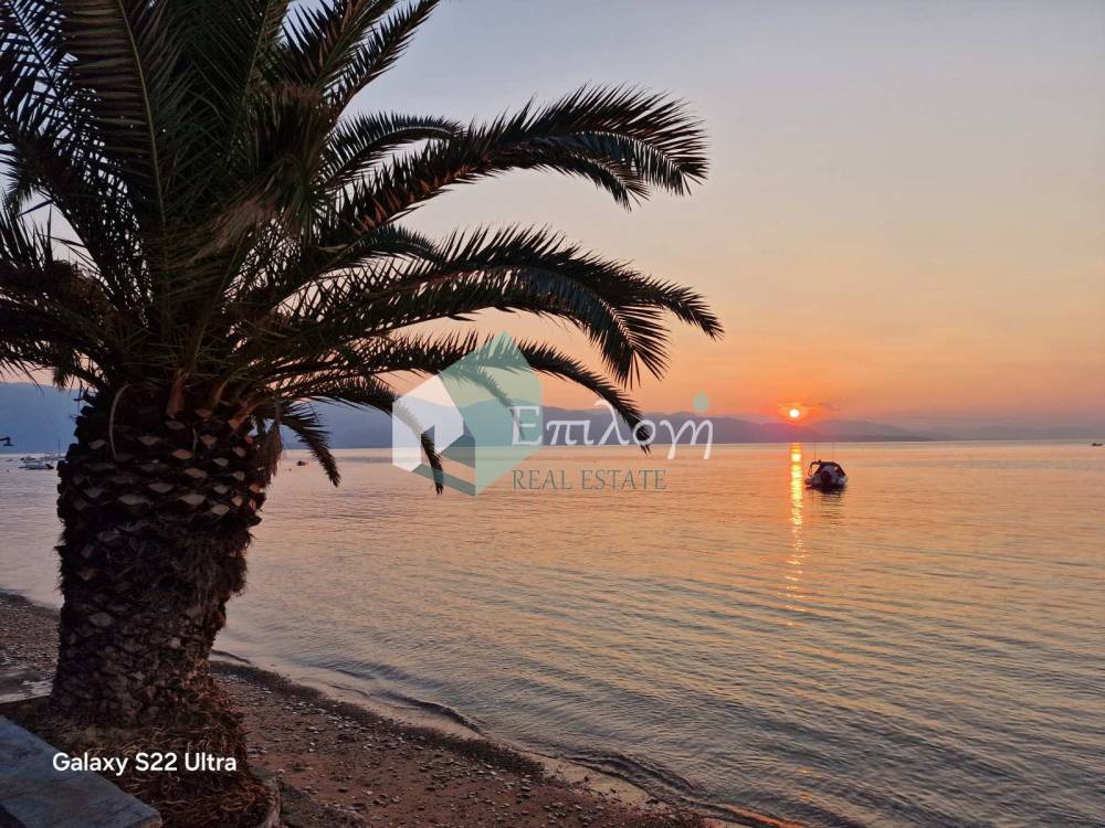 Property in Greece