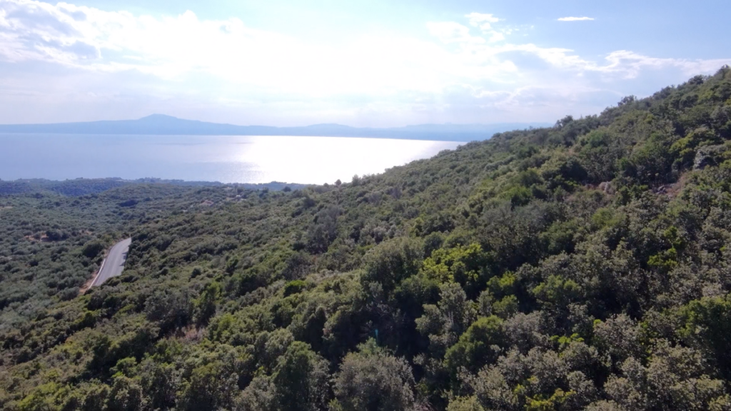 Αγροτεμάχιο προς Πώληση, 52423.58 τ.μ., Περιφέρεια Πελοποννήσου