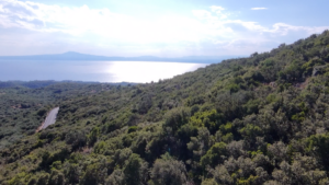 Αγροτεμάχιο προς Πώληση, 52423.58 τ.μ., Περιφέρεια Πελοποννήσου