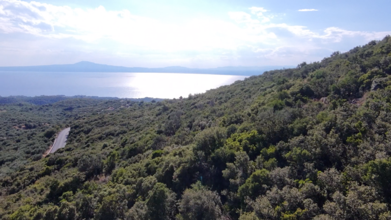 Αγροτεμάχιο προς Πώληση, 52423.58 τ.μ., Περιφέρεια Πελοποννήσου