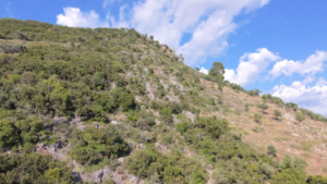 Αγροτεμάχιο προς Πώληση, 52423.58 τ.μ., Περιφέρεια Πελοποννήσου