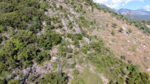 Αγροτεμάχιο προς Πώληση, 52423.58 τ.μ., Περιφέρεια Πελοποννήσου