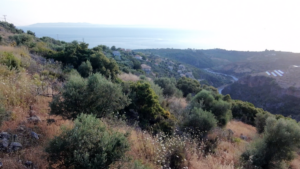 Αγροτεμάχιο προς Πώληση, 52423.58 τ.μ., Περιφέρεια Πελοποννήσου