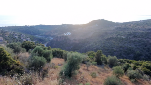 Αγροτεμάχιο προς Πώληση, 52423.58 τ.μ., Περιφέρεια Πελοποννήσου