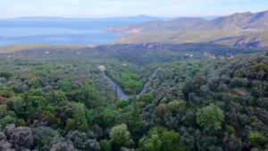 Αγροτεμάχιο προς Πώληση, 7884 τ.μ., Περιφέρεια Πελοποννήσου