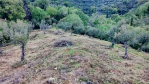 Αγροτεμάχιο προς Πώληση, 7884 τ.μ., Περιφέρεια Πελοποννήσου