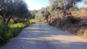 Γη προς Πώληση, 1000 τ.μ., Περιφέρεια Πελοποννήσου
