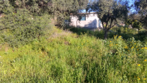 Γη προς Πώληση, 1000 τ.μ., Περιφέρεια Πελοποννήσου