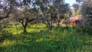 Γη προς Πώληση, 1000 τ.μ., Περιφέρεια Πελοποννήσου