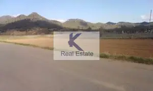 Γη προς Πώληση, 17000 τ.μ., Πιάνα Αρκαδίας