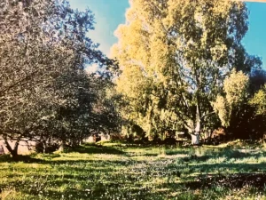 Γη προς Πώληση, 2350 τ.μ., Περιφέρεια Ιονίων Νήσων