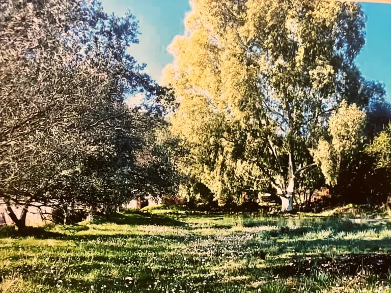 Γη προς Πώληση, 2350 τ.μ., Περιφέρεια Ιονίων Νήσων