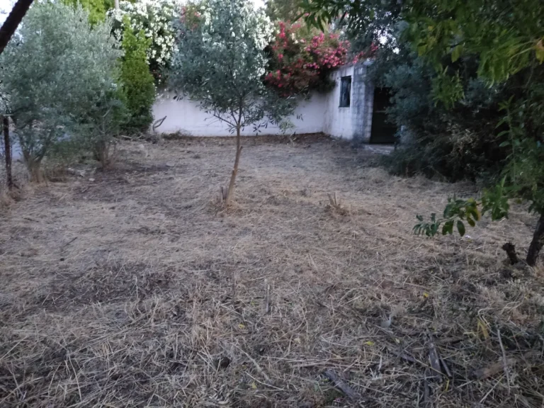 Γη προς Πώληση, 239 τ.μ., Πλάκα Δήλεσι