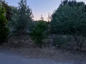 Γη προς Πώληση, 239 τ.μ., Πλάκα Δήλεσι
