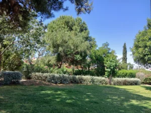 Γη προς Πώληση, 405 τ.μ., Παλαιό Φάληρο