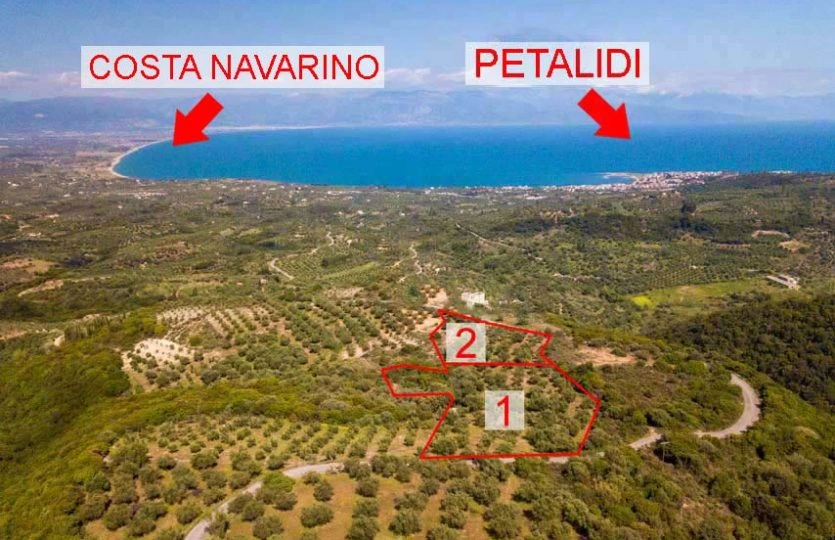 Γη προς Πώληση, 4564 τ.μ., Καστάνια Μεσσηνίας