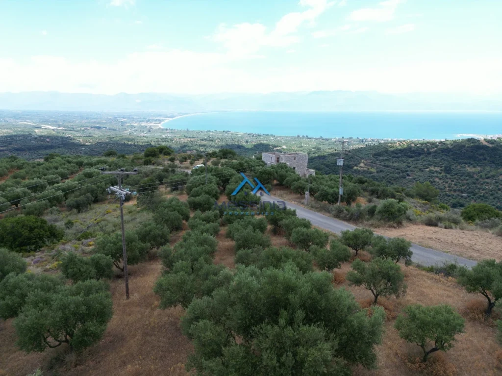 Γη προς Πώληση, 4564 τ.μ., Καστάνια Μεσσηνίας