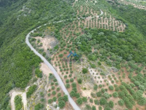 Γη προς Πώληση, 4564 τ.μ., Καστάνια Μεσσηνίας