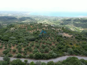 Γη προς Πώληση, 4564 τ.μ., Καστάνια Μεσσηνίας