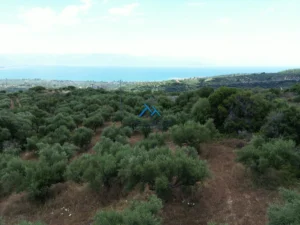 Γη προς Πώληση, 4564 τ.μ., Καστάνια Μεσσηνίας