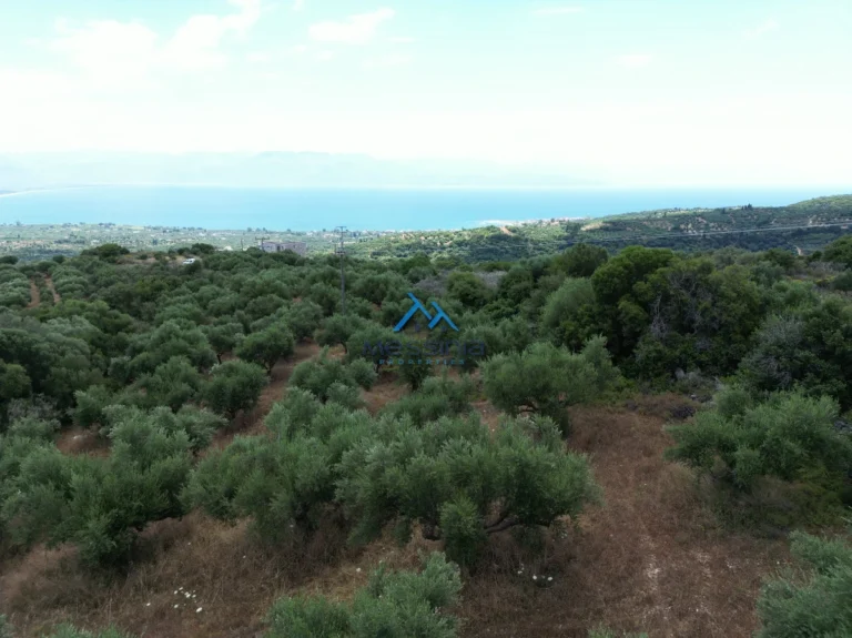 Γη προς Πώληση, 4564 τ.μ., Καστάνια Μεσσηνίας