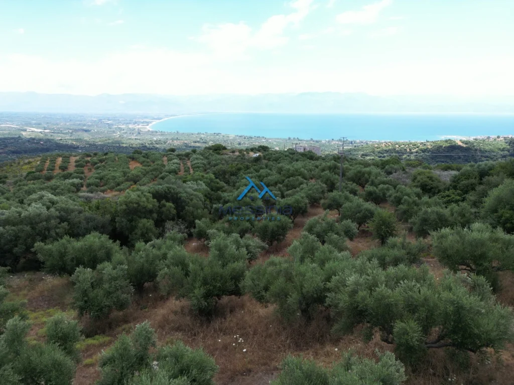 Γη προς Πώληση, 4564 τ.μ., Καστάνια Μεσσηνίας