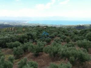 Γη προς Πώληση, 4564 τ.μ., Καστάνια Μεσσηνίας
