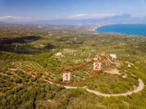 Γη προς Πώληση, 4564 τ.μ., Καστάνια Μεσσηνίας