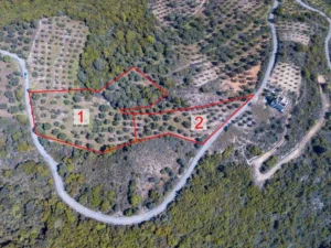 Γη προς Πώληση, 4564 τ.μ., Καστάνια Μεσσηνίας