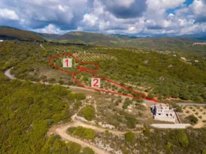 Γη προς Πώληση, 4564 τ.μ., Καστάνια Μεσσηνίας