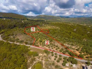 Γη προς Πώληση, 4564 τ.μ., Καστάνια Μεσσηνίας