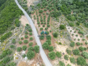Γη προς Πώληση, 4564 τ.μ., Καστάνια Μεσσηνίας