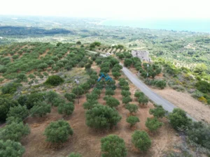 Γη προς Πώληση, 4564 τ.μ., Καστάνια Μεσσηνίας