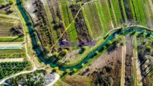 Γη προς Πώληση, 50000 τ.μ., Ερμιόνη Αργολίδας