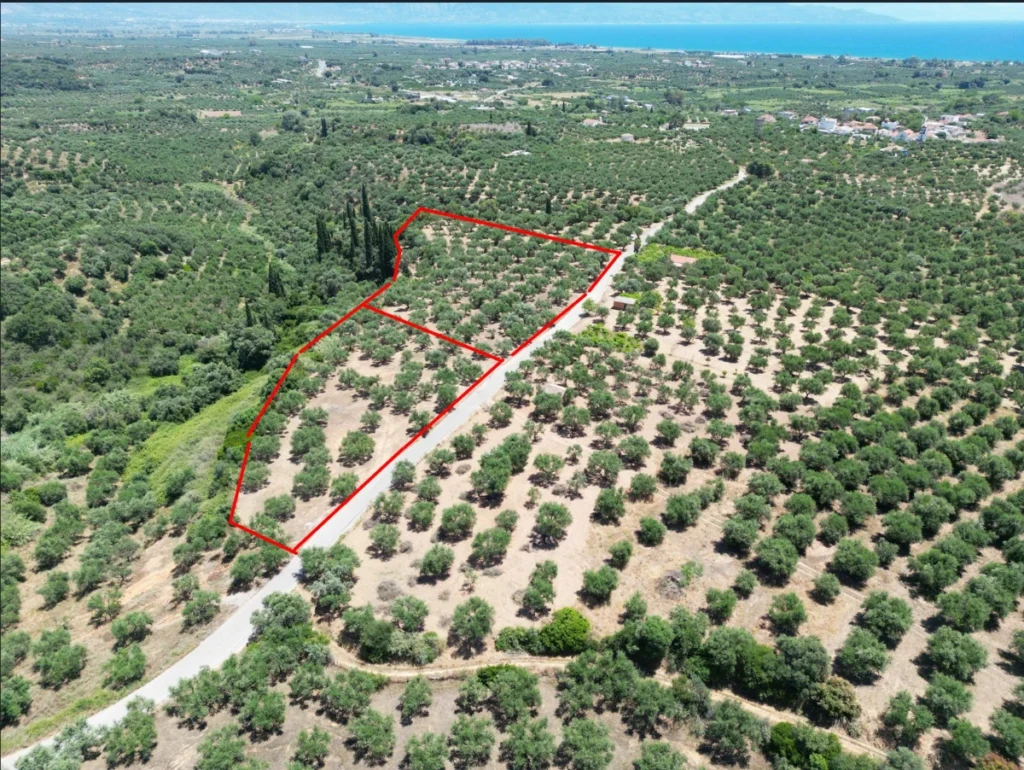 Γη προς Πώληση, 5675 τ.μ., Αβραμιον