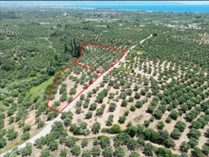 Γη προς Πώληση, 5675 τ.μ., Αβραμιον