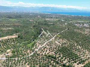 Γη προς Πώληση, 5675 τ.μ., Αβραμιον