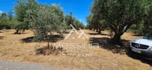 Γη προς Πώληση, 5675 τ.μ., Αβραμιον