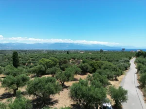 Γη προς Πώληση, 5675 τ.μ., Αβραμιον