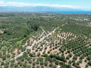 Γη προς Πώληση, 5675 τ.μ., Αβραμιον
