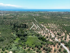 Γη προς Πώληση, 5675 τ.μ., Αβραμιον