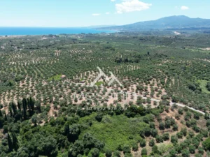 Γη προς Πώληση, 5675 τ.μ., Αβραμιον