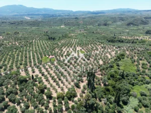 Γη προς Πώληση, 5675 τ.μ., Αβραμιον