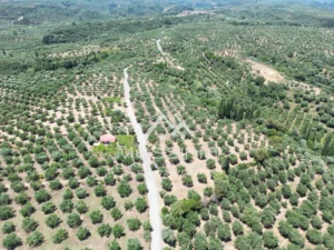 Γη προς Πώληση, 5675 τ.μ., Αβραμιον