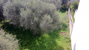 Γη προς Πώληση, 737 τ.μ., Καλαμάτα