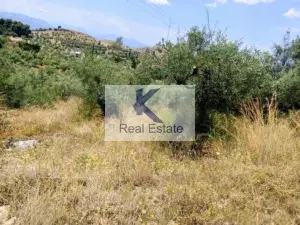 Γη προς Πώληση, 9500 τ.μ., Ναύπλιο
