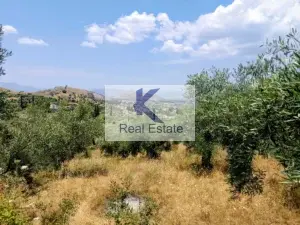 Γη προς Πώληση, 9500 τ.μ., Ναύπλιο