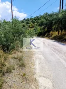 Γη προς Πώληση, 9500 τ.μ., Ναύπλιο