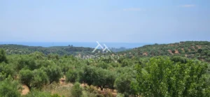 Κατοικία προς Πώληση, 139 τ.μ., Νεοχωριον Αριστομενους