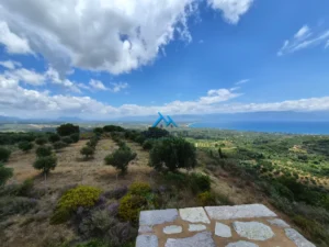 Κατοικία προς Πώληση, 261 τ.μ., Καστάνια Μεσσηνίας